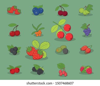 Berry Icons set -  Vector color symbols of strawberry, raspberry, cherry, blueberry, cloudberry, dogrose and cranberry for the site or interface