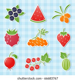 Berry icons. Vector illustration. All objects are separate and organized on clearly labeled layers. Easy to remove the shadow.