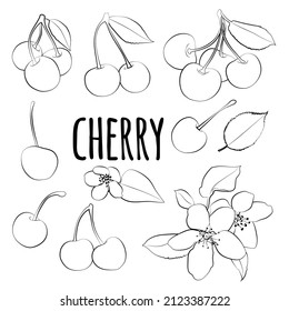 Berry illustrations collection isolated. Cherry set vector drawing, organic food hand drawn, Black and white cherry on white background