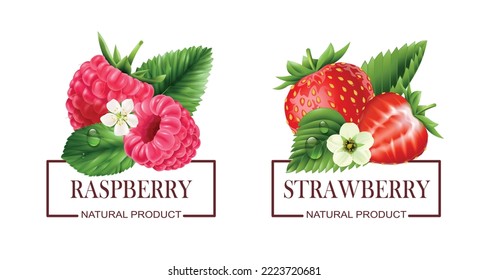 Berry labels realistic set of ripe raspberry and strawberry images and text natural product isolated vector illustration