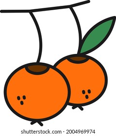  Diseño de iconos de vectores rellenos de línea de Berry

