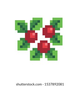 Berry logo pixel art icon. Isolated vector illustration. Game assets 8-bit sprite. Design for stickers, web, mobile app.