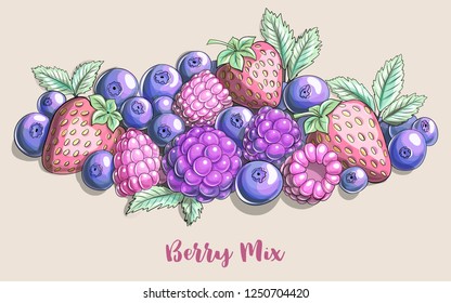 Berry mix Cartoon illustration Pastel colors