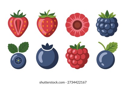 Berry mix vector icons, strawberry raspberry blueberry with mint leaves, summer picnic branding, dessert topping, farmers market label illustration