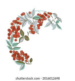 berry nature view vector sketch illustration japanese chinese oriental line art card