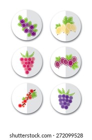 Berry paper stickers vector illustration