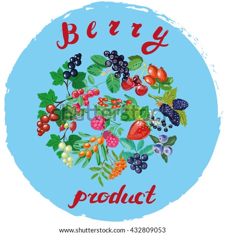 Berry product vector illustration with mega berries collection