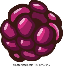 Berry purple blackberry. vector illustration Cartoon style.