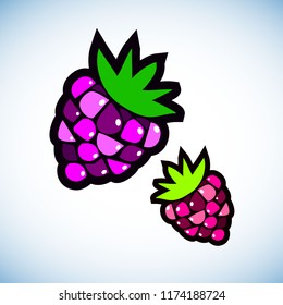 berry, raspberry, vector, fruit, food, sweet, illustration, natural, summer