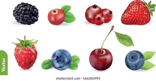 Berry realistic set with strawberry, raspberry, blackberry, cherry, currant, cranberry, bilberry and blueberry. 3d isolated vector illustration.