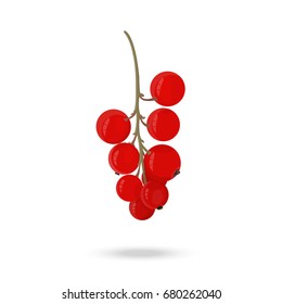 Berry red currant on a green branch on a white background. Vector illustration