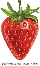 Berry red ripe strawberry on a white background. High detail realistic illustration.