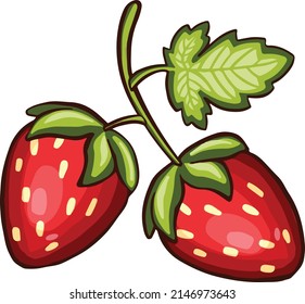 Fresa roja de Berry. ilustración vectorial Estilo de dibujo.