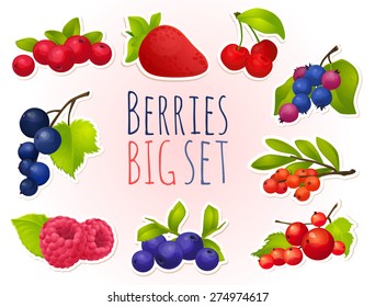 berry, ripe, bright, set