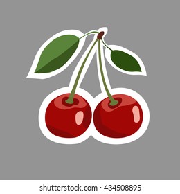 berry ripe bright vector cherry illustration on grey background