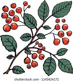  berry, rowan, russian