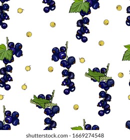 Patrón transparente de Berry con racimos maduros 
grosellas negras. Fondo de frutas de verano, dibujo detallado a mano, boceto. Antecedentes de los menús, invitaciones, envolturas, tela, ropa de bebé