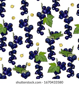 Berry seamless pattern with bunches of ripe 
black currants. Summer fruit background, detailed hand drawing, sketch. Background for menus, invitations, wrapping, fabric, baby clothes