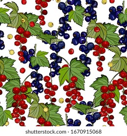 Berry de patrón transparente con racimos de grosellas rojas y negras. Fondo de frutas de verano, dibujo detallado a mano, boceto. Antecedentes de los menús, invitaciones, envolturas, tela, ropa de bebé