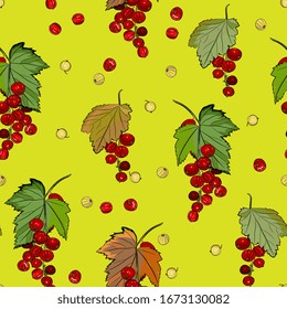 Berry seamless pattern with bunches of ripe red  currants. Summer fruit background, detailed hand drawing, sketch. Background for menus, invitations, wrapping, fabric, baby clothes