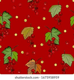 Berry sin fisuras con racimos de grosellas rojas. Fondo de frutas de verano, dibujo detallado a mano, boceto. Antecedentes de los menús, invitaciones, envolturas, tela, ropa de bebé