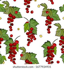 Berry seamless pattern with bunches of ripe red  currants. Summer fruit background, detailed hand drawing, sketch. Background for menus, invitations, wrapping, fabric, baby clothes