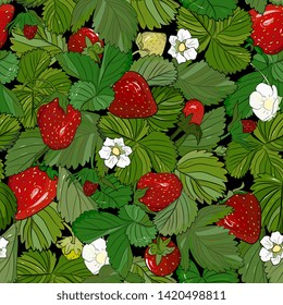 berry seamless pattern. Strawberry ripe with leaves and berries. Summer background, Detailed hand drawn food for packaging design, tea or juice label, print,for fabric, wrapping,
