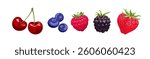 Berry set. Cherry, strawberry, raspberry, blueberry and blackberry  isolated on white background. Vector cartoon flat illustration. 