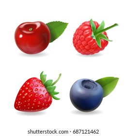 Berry set. Forest realistic sweet fruit vector icon illustration