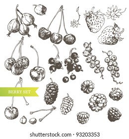 Berry Set: Highly Detailed Hand Drawn Berries.