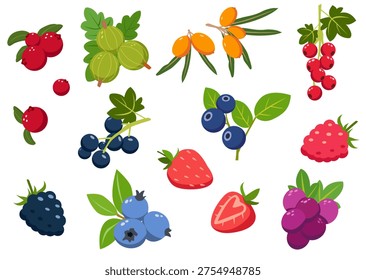 Berry set with strawberry, raspberry, blueberry, blackberry, currant, gooseberry, sea buckthorn, leaves, bright flat style on white background. For packaging, menus.