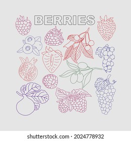 Berry-Set zur Verwendung in Produktlogos. Vektorgrafik.