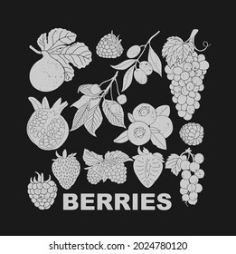 Juego de bayas para uso en logotipos de productos. Vector.