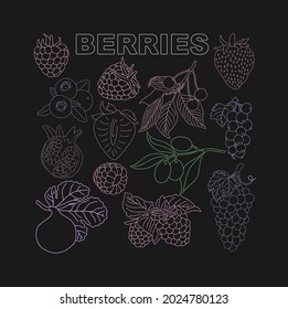 Juego de bayas para uso en logotipos de productos. Vector.