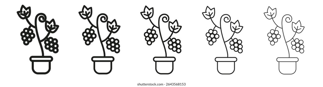 Berry shrubs and vines icon vector outline set illustration sign