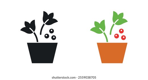 Berry shrubs and vines icons in black and colored version