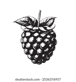  Berry in simple black and white woodblock print