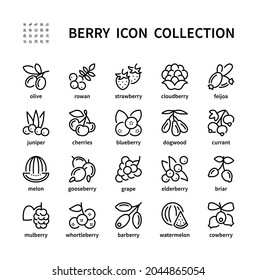 Berry simple set of vector linear icons. Symbol of healthy and natural food. Olive rowan strawberry cloudberry feijoa juniper and more. Isolated collection of berries icons on white background.