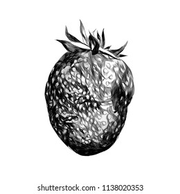 berry strawberry with tail, sketch vector graphics monochrome illustration on white background