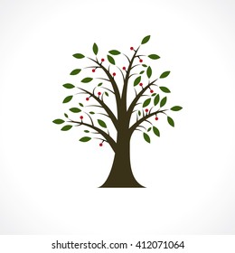 berry tree