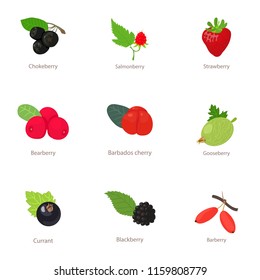 Berry type icons set. Isometric set of 9 berry type vector icons for web isolated on white background