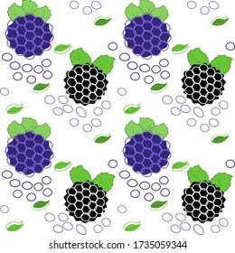 Berry vector design. Purple and black blackberry on a white background, artistic. Illustration of fresh vitamins from the garden.