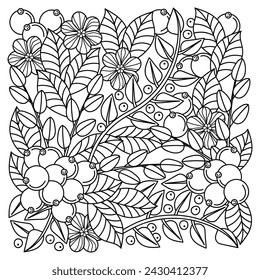 Berry vector illustration, coloring book page. Cartoon doodles background. Black and white pictures.