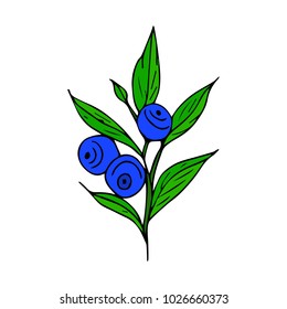 Berry vector illustration. Doodle style. Design, print, logo, decor, textile, paper