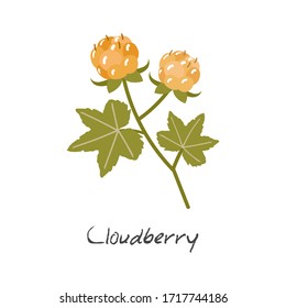 Berry. Vector illustration in flat style.