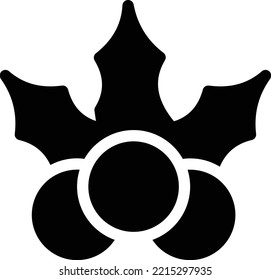 berry Vector illustration on a transparent background. Premium quality symmbols. Glyphs vector icons for concept and graphic design. 
