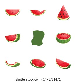 Berry watermelon icon set. Cartoon set of 9 berry watermelon vector icons for web design isolated on white background
