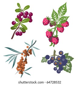 Berrys set in color 01