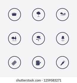 Best 9 plant icon set. tree, root, tree stump and forest vector illustration