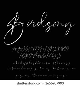 Best Alphabet Birdsong Amazing Script Signature Logotype Font Lettering Handwritten